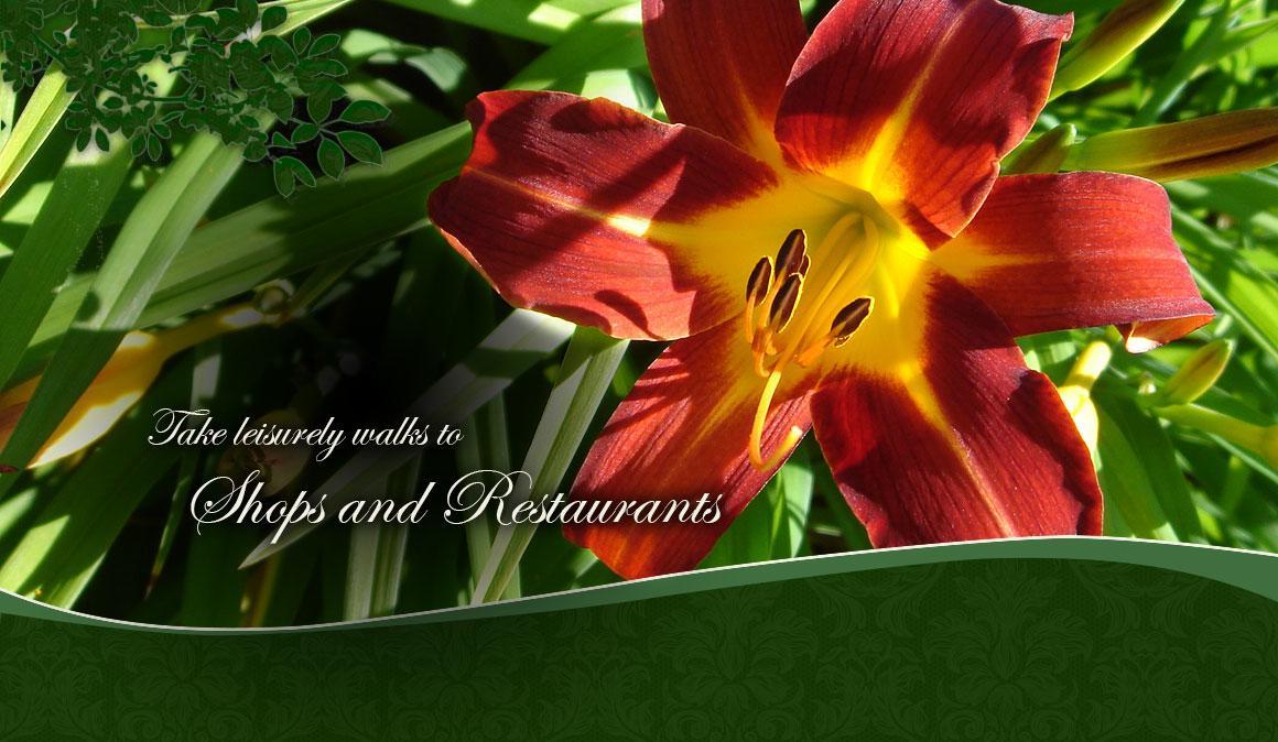 Trimmer House Bed And Breakfast Пен Ян Екстериор снимка