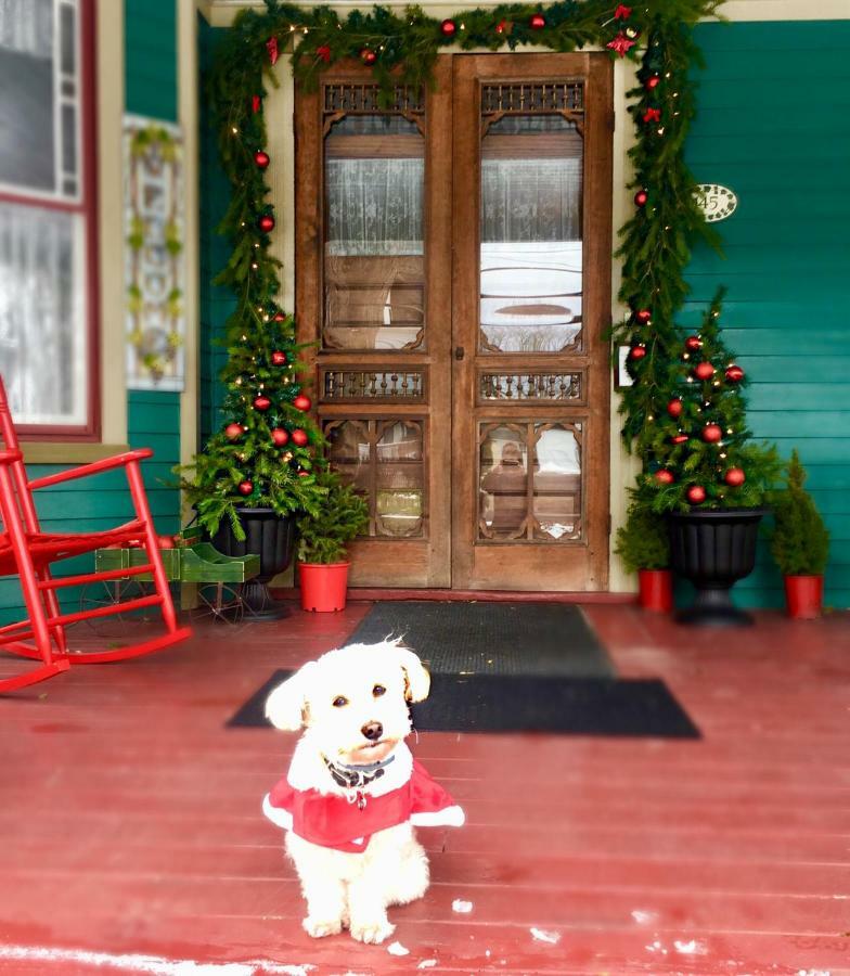 Trimmer House Bed And Breakfast Пен Ян Екстериор снимка